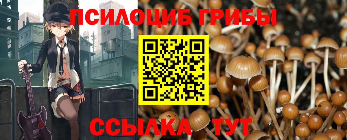 Галлюциногенные грибы прущие грибы Лянтор